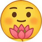 抢美签Pro